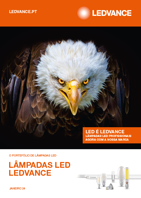 LEDS Profissionais 2024